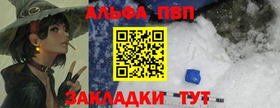 шишки Кингисепп