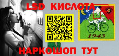 шишки Кингисепп