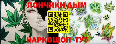 шишки Кингисепп