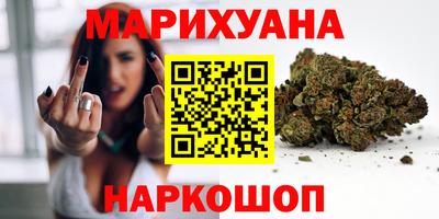 шишки Кингисепп