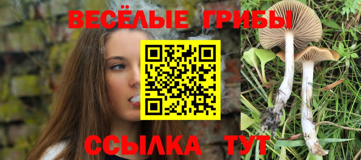 Псилоцибиновые грибы мухоморы Гудермес
